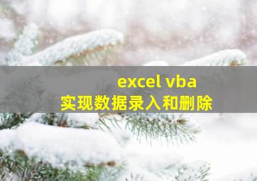 excel vba实现数据录入和删除